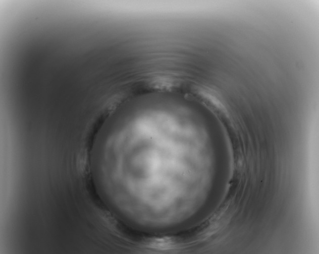 X0000089860411200707051137