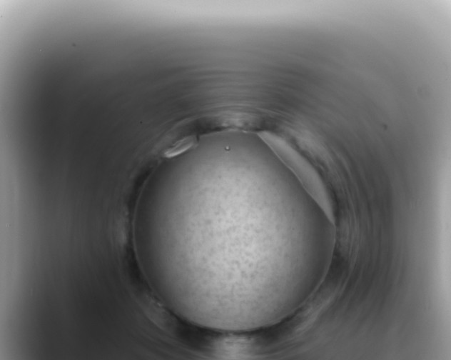 X0000089860413200707051137