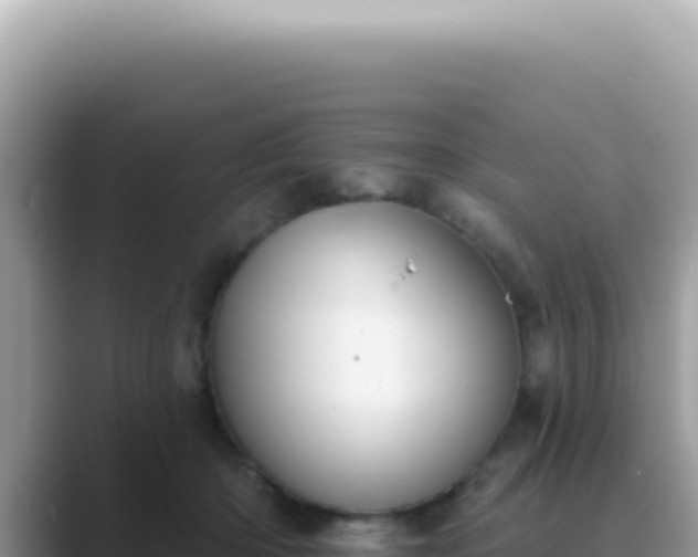 X0000089860414200707051137