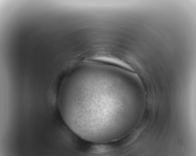 X0000089860417200707051137