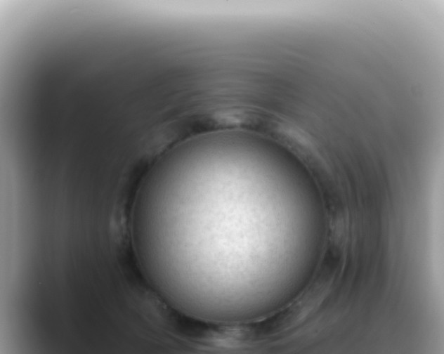 X0000089860418200707051137