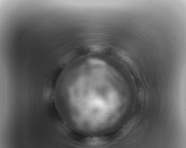 X0000089860419200707051137