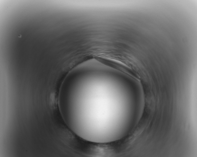 X0000089860420200707051137