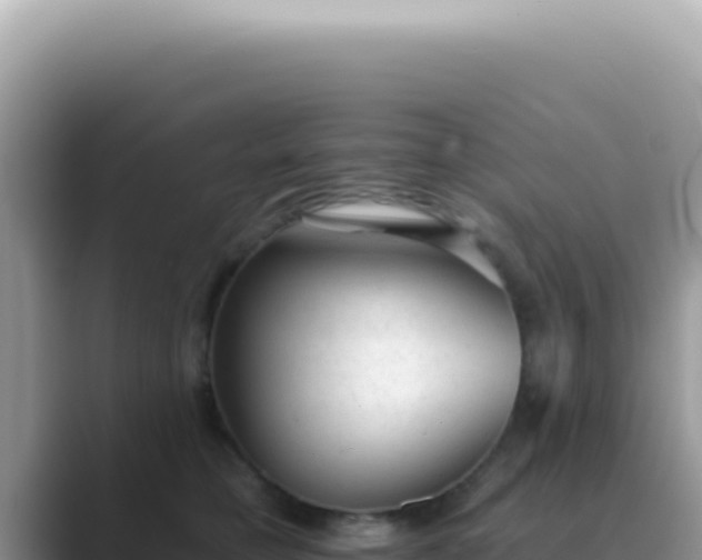 X0000089860421200707051137