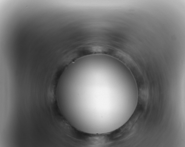 X0000089860422200707051137