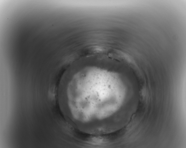 X0000089860423200707051137