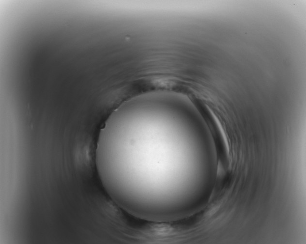 X0000089860424200707051137