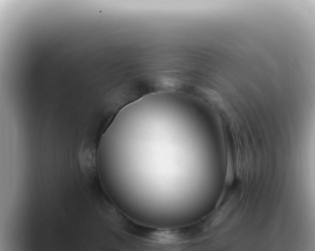 X0000089860425200707051137