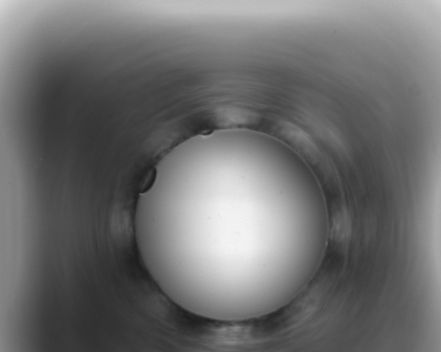X0000089860426200707051137