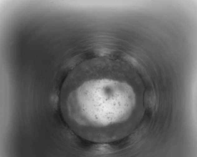 X0000089860427200707051137