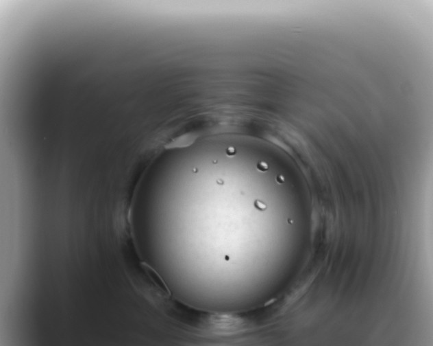 X0000089860429200707051137