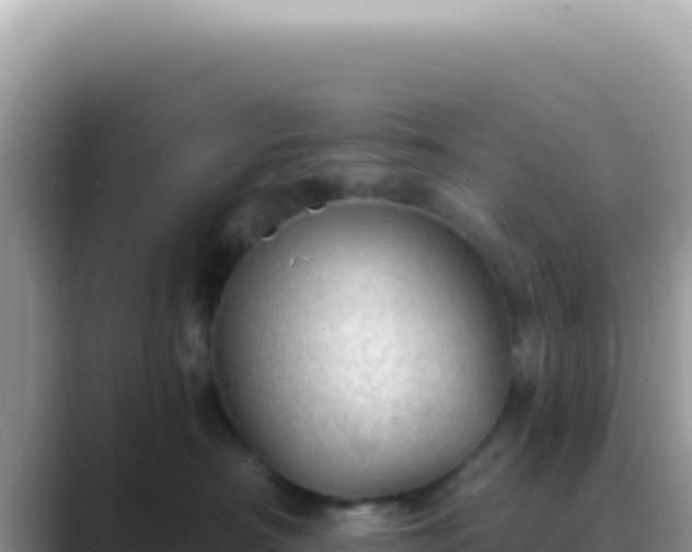 X0000089860430200707051137