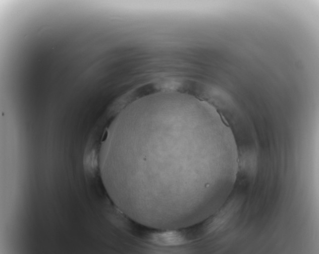 X0000089860431200707051137