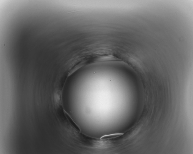 X0000089860432200707051136