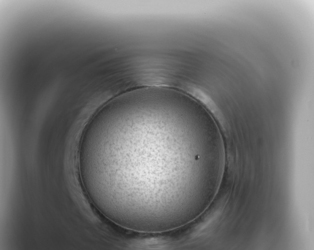 X0000089860433200707051136