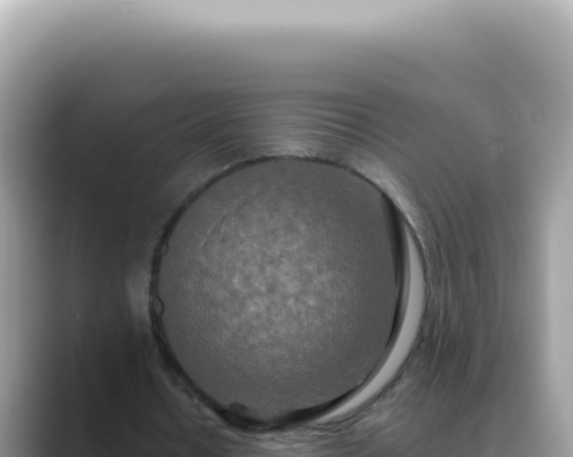 X0000089860434200707051136