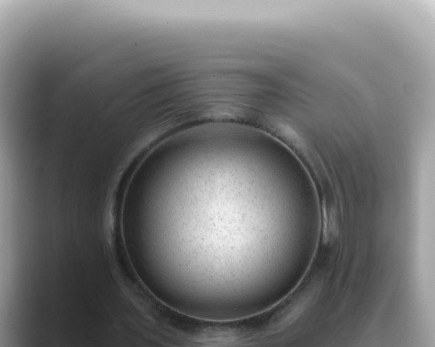X0000089860435200707051136