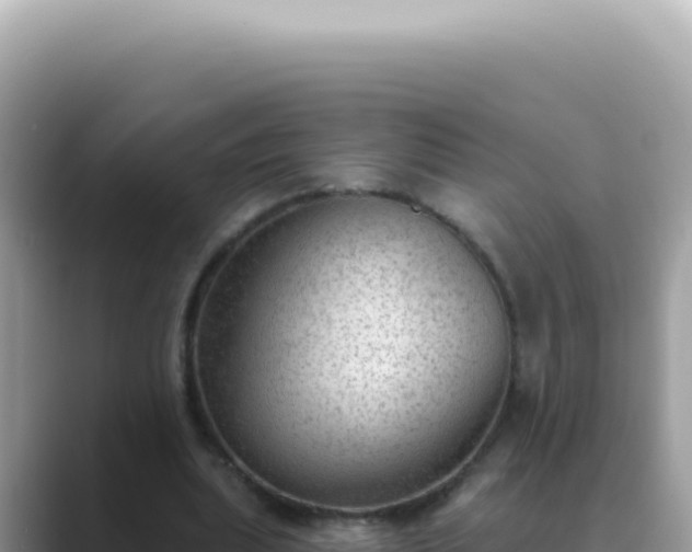 X0000089860439200707051136