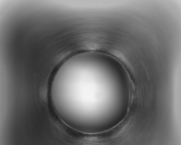 X0000089860440200707051136