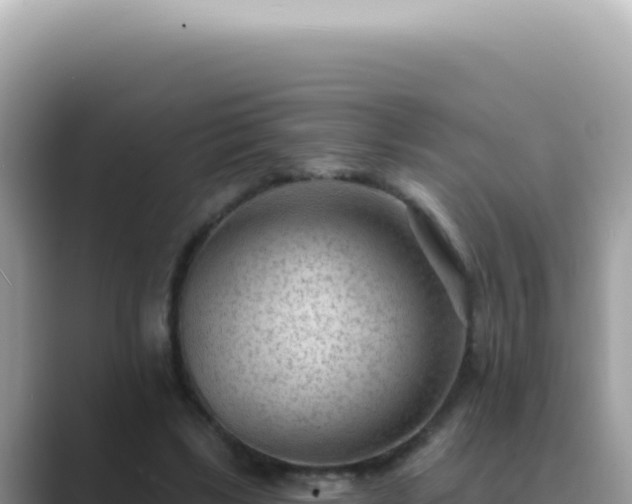 X0000089860443200707051136