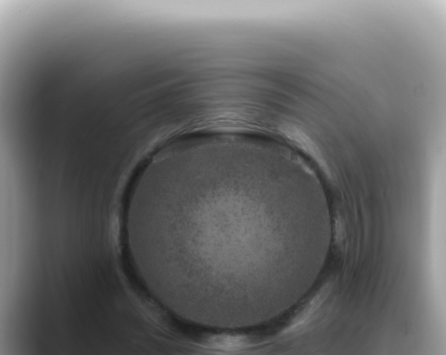 X0000089860444200707051136