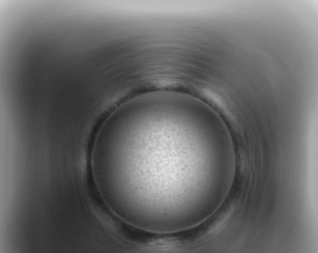 X0000089860447200707051136