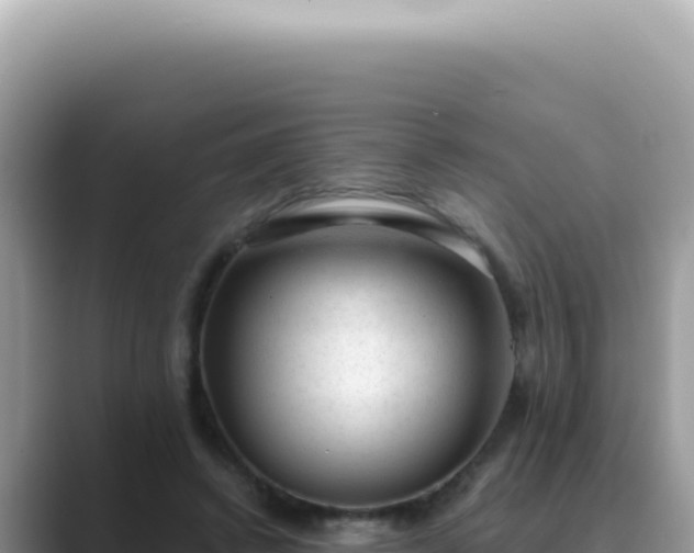 X0000089860448200707051136