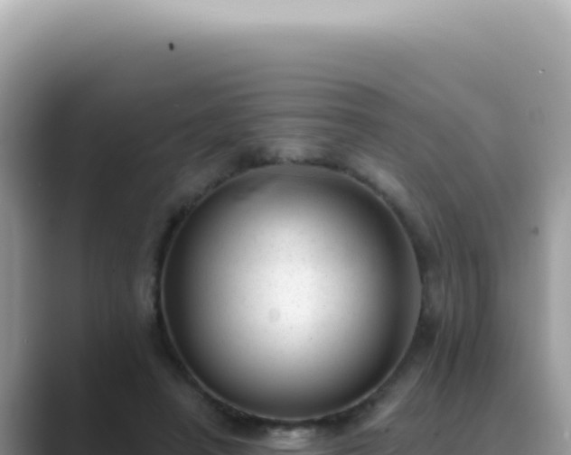 X0000089860450200707051136