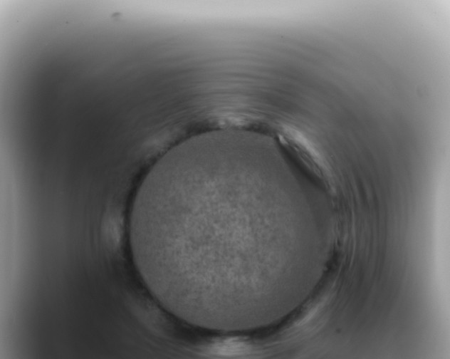 X0000089860451200707051136