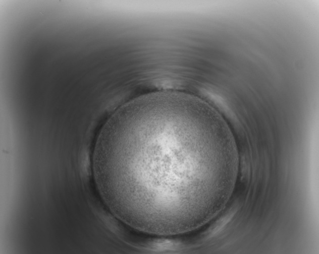 X0000089860453200707051136