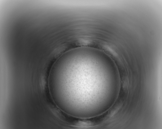 X0000089860455200707051136