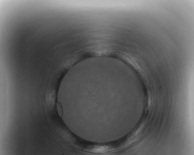 X0000089860458200707051136