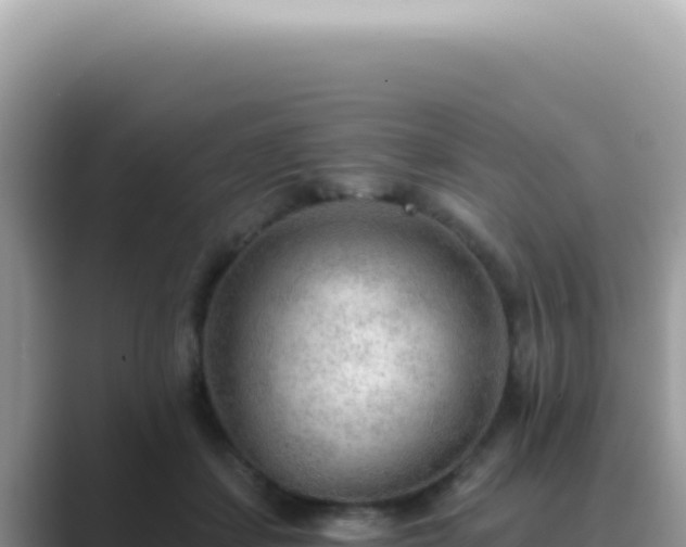 X0000089860459200707051136