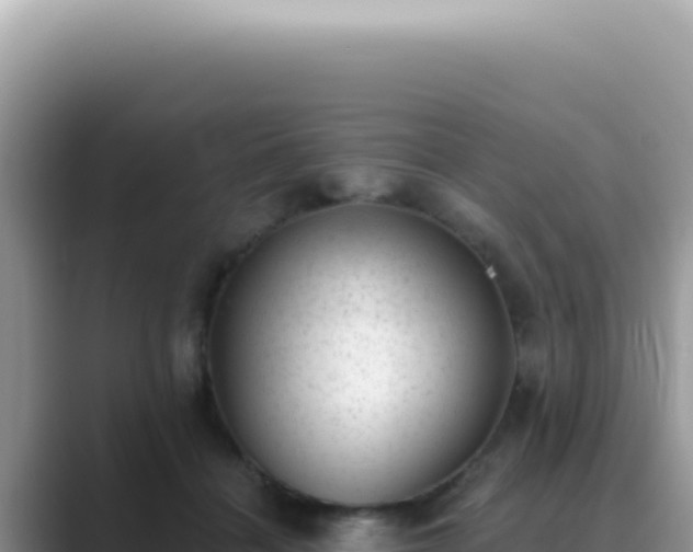 X0000089860460200707051136