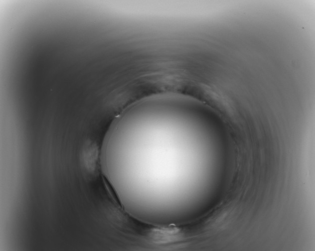 X0000089860480200707051136
