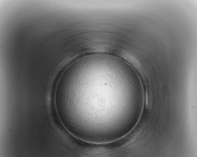 X0000089860483200707051136