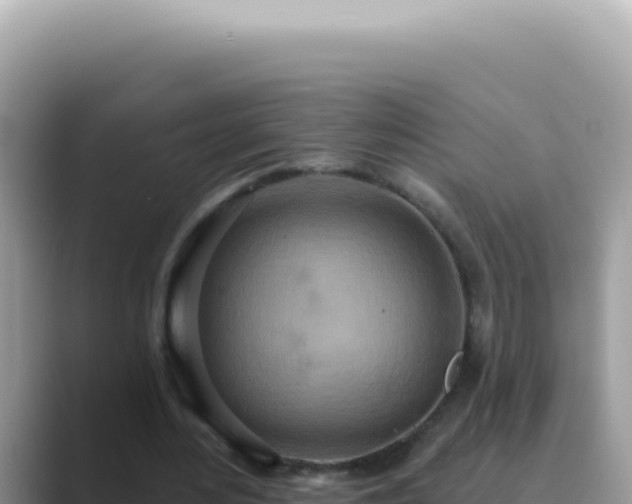 X0000089860484200707051136