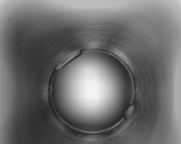 X0000089860485200707051136