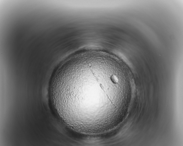X0000089860487200707051136