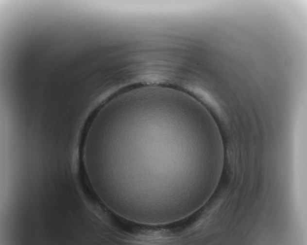 X0000089860488200707051136