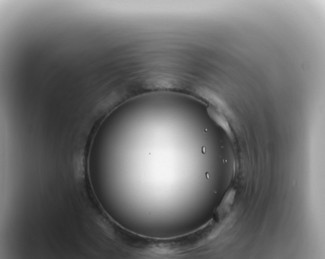 X0000089860489200707051136
