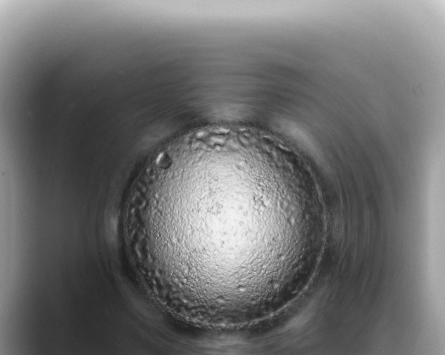 X0000089860491200707051136
