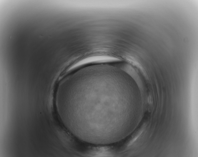 X0000089860492200707051136