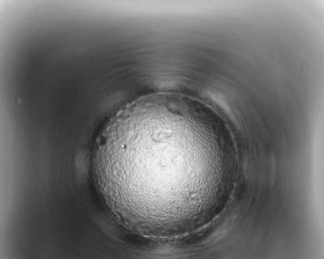 X0000089860495200707051136