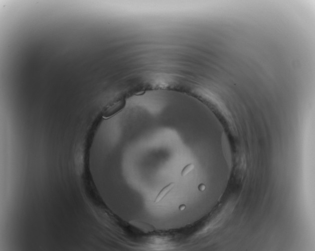 X0000089860496200707051136