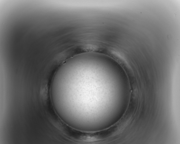 X0000089860498200707051136