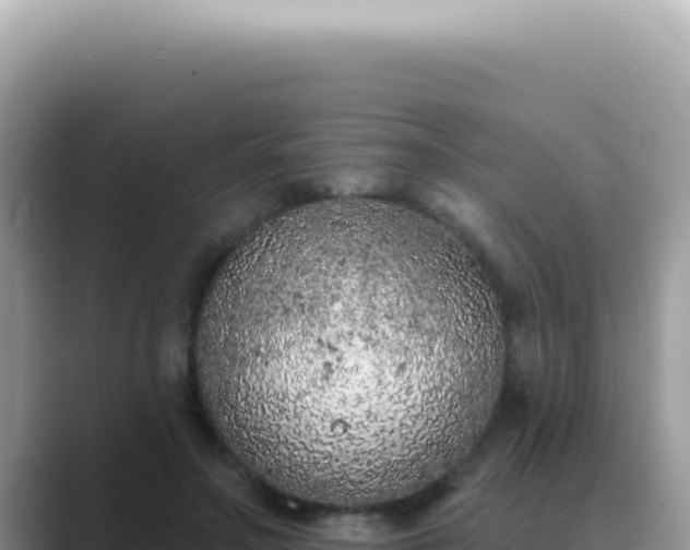 X0000089860499200707051136