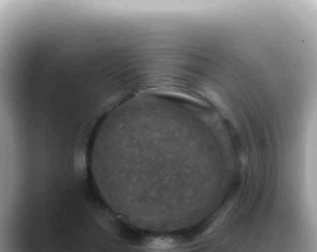 X0000089860500200707051136