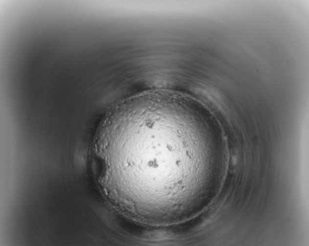 X0000089860503200707051136