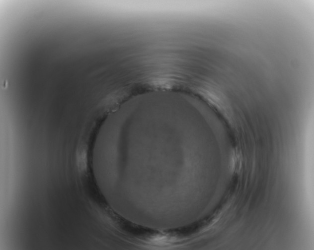 X0000089860504200707051136